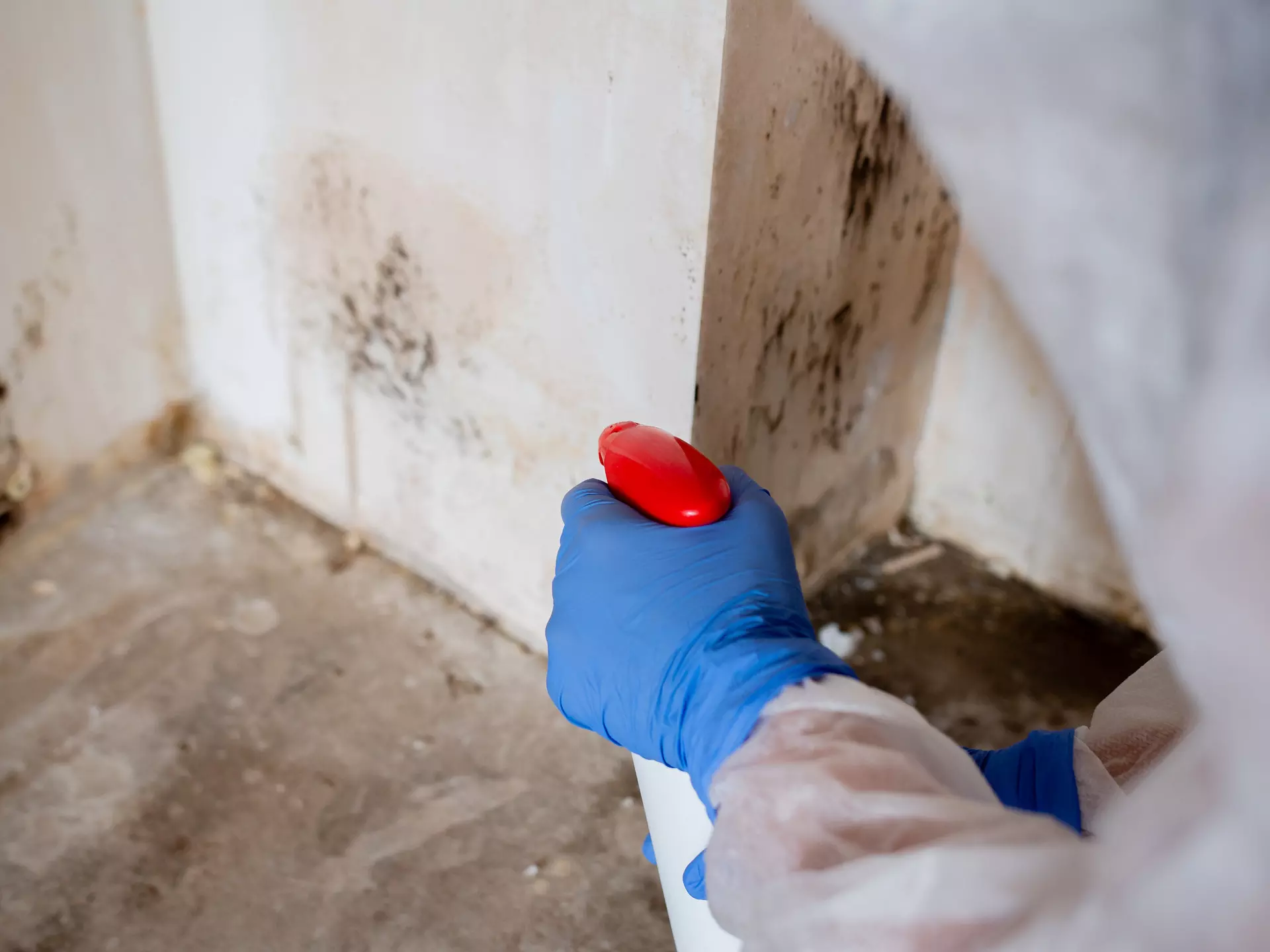 Environmental Factors That Contribute to Mold Growth in New York Homes and Effective Ways to Combat Them