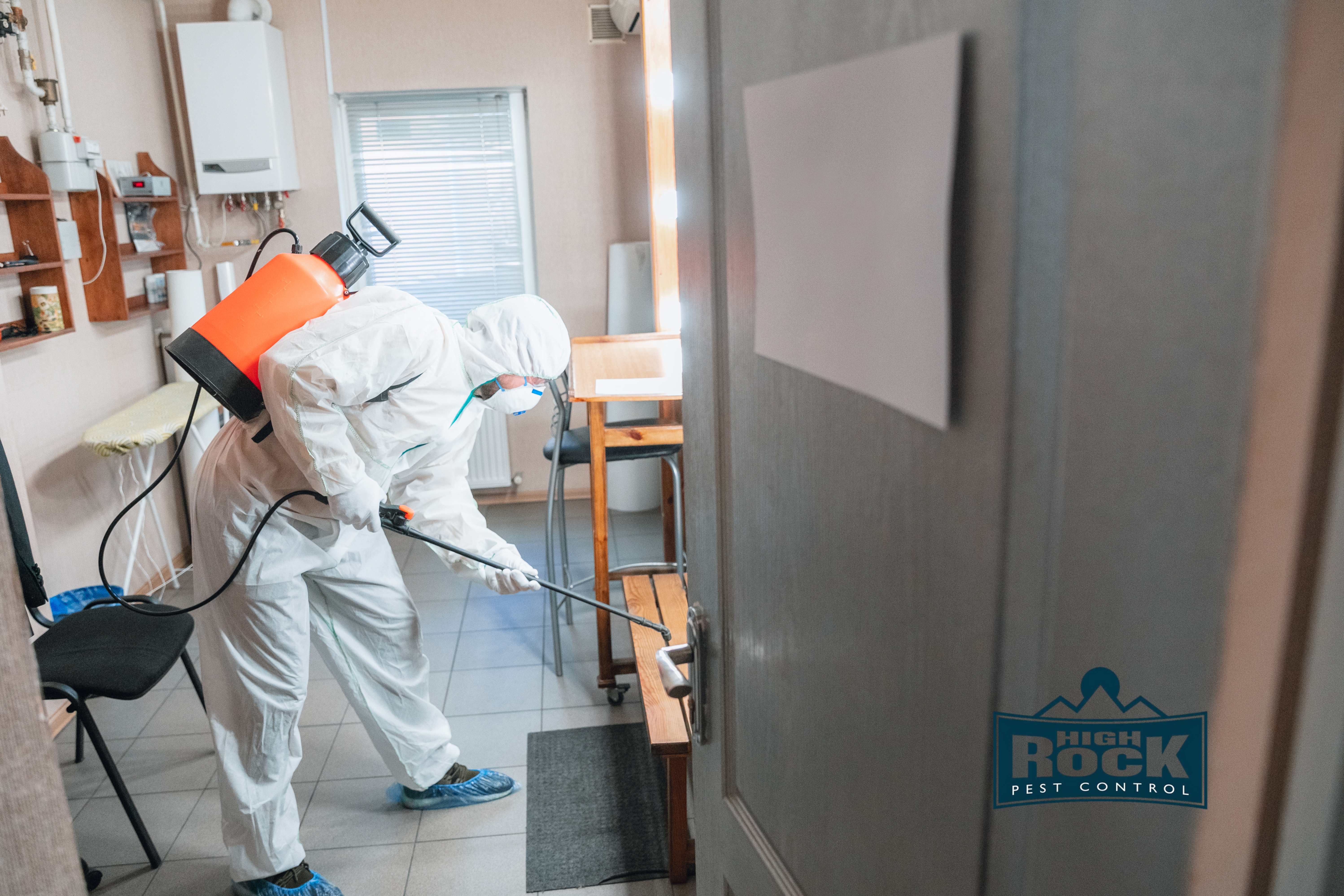 The Dangers of DIY Pest Control in Cleveland and When to Call a Pro